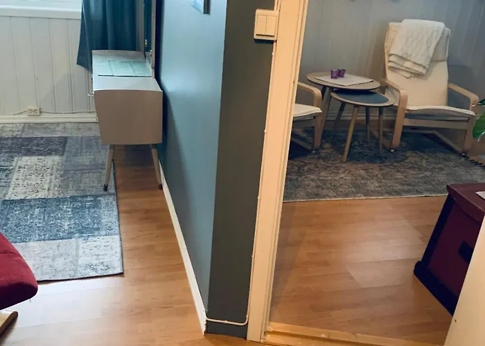 公寓 Liten Med To Soverom