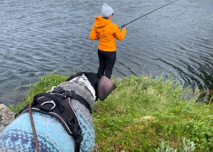 公寓 Liten Med To Soverom